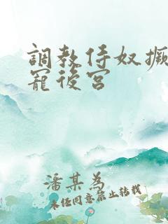 调教侍奴撅臀男宠后宫