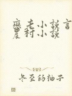 恋老小说言情网农村小说