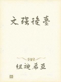 文强后台