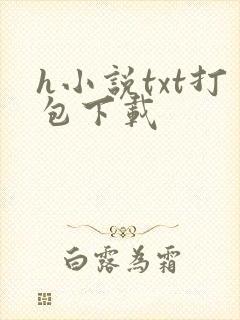 h小说txt打包下载
