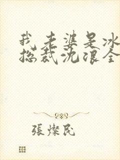 我老婆是冰山女总裁沈浪全集