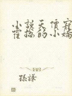 小说天价宠妻:霍总的小娇妻