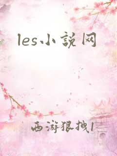 les小说网