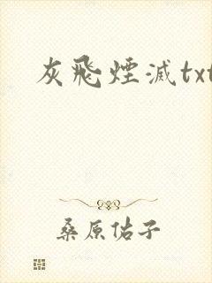 灰飞烟灭txt