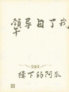 领导日了我一下午