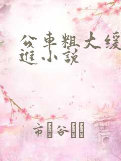 公车粗大缓缓挤进小说