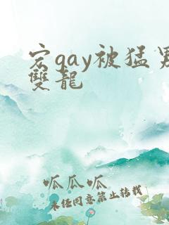 宏gay被猛男双龙