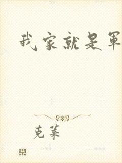 我家就是军火铺