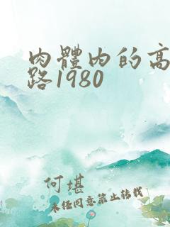 肉体内的高速公路1980