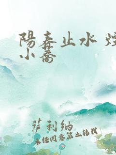 阳春止水 烟树小荞