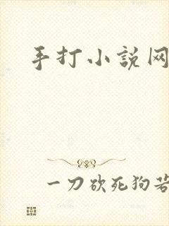 手打小说网