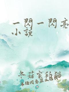 一闪一闪亮星星小说