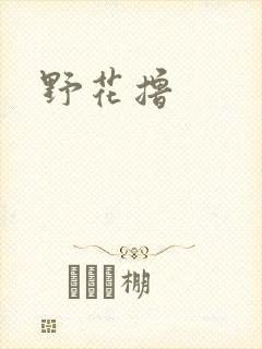 野花撸