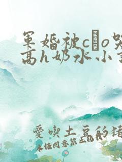 军婚被cαo哭高h奶水小说