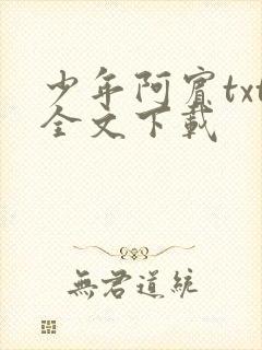 少年阿宾txt全文下载