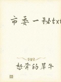 市委一秘txt