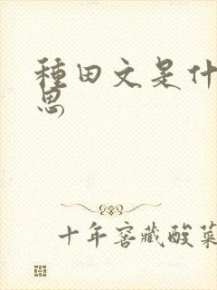 种田文是什么意思