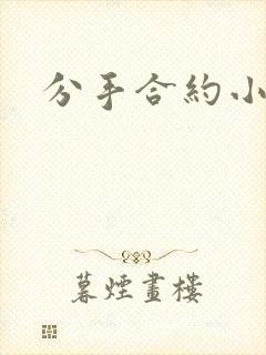 分手合约小说