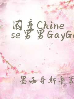 国产Chinese男男GayGayAPP