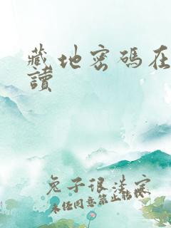 藏地密码在线阅读