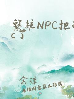 系统NPC把我c了