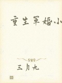 重生军婚小媳妇