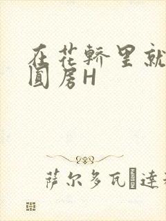 在花轿里就开始圆房H