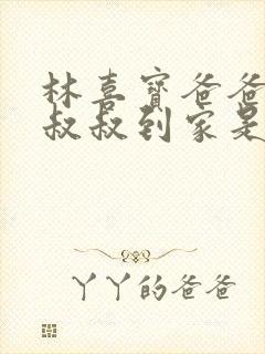 林喜宝爸爸叫李叔叔到家是哪一集