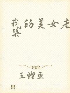 我的美女老总续集