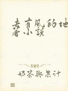 去有风的地方原著小说