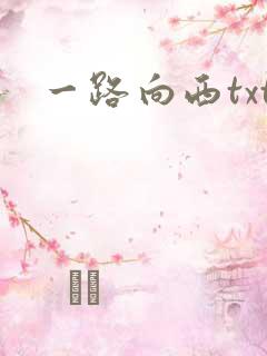 一路向西txt