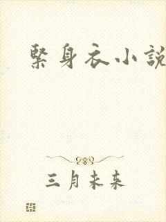 紧身衣小说