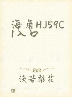 海角HJ59C1入口