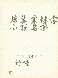 席慕寒林念儿的小说名字