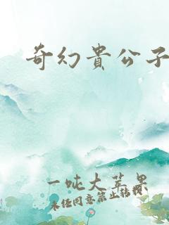 奇幻贵公子全集