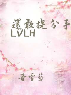 还敢提分手吗嗯LVLH