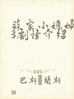 苏家小媳妇1v3剧情介绍