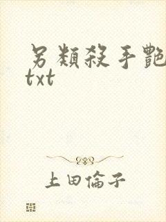 另类杀手艳福星txt