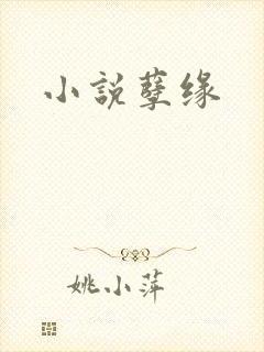 小说孽缘