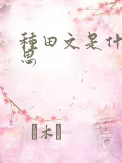 种田文是什么意思