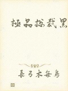 极品总裁黑道妻