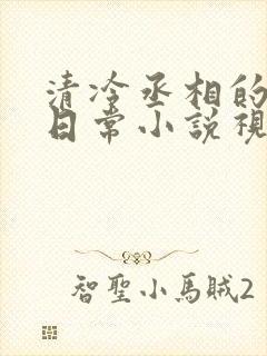 清冷丞相的爆炒日常小说视频