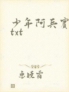 少年阿兵宾小说txt