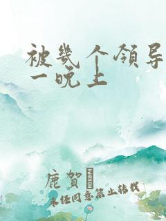 被几个领导玩弄一晚上