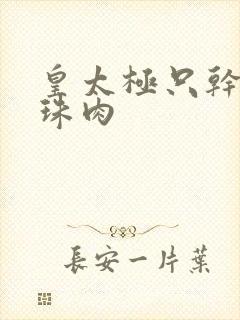 皇太极只干海兰珠肉