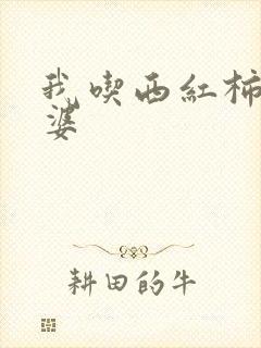 我吃西红柿的老婆