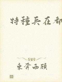 特种兵在都市