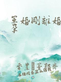 军婚刚离婚就怀孕