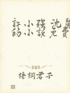 许小强 沈丽娟的小说免费阅读