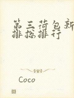 第三荷包新鲜肉排总排行